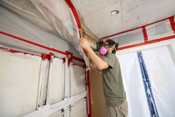 Environmental Consulting for Mold Prevention in South Boston, VA